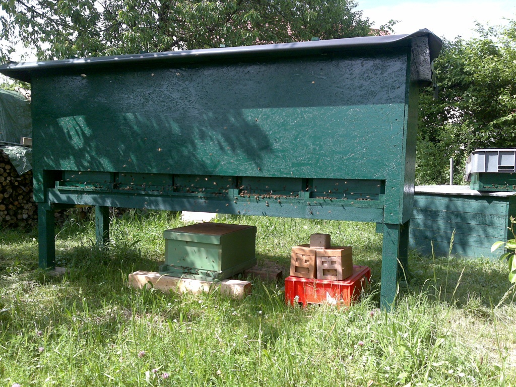Bienenvolk Bienenvölker Bienenableger Imker Imkerei Bienen - Bienen - Pottenstein