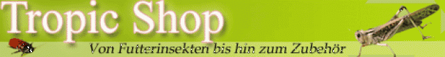 Tropic Shop Futterinselten und Zubehör - Heuschrecken - Nordhorn