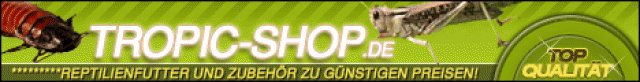 Futtertiere & Zubehör zu Fairen Preisen - Heuschrecken - Nordhorn